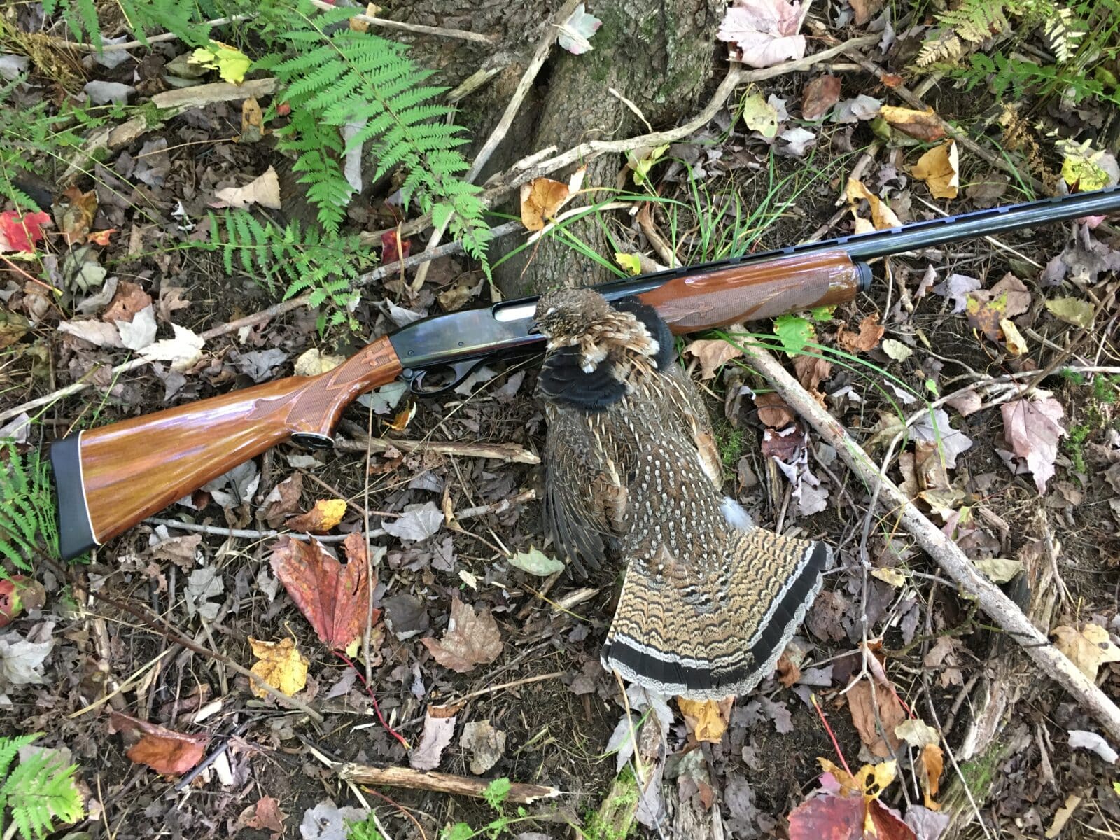 Remington 870 Wingmaster cal 12