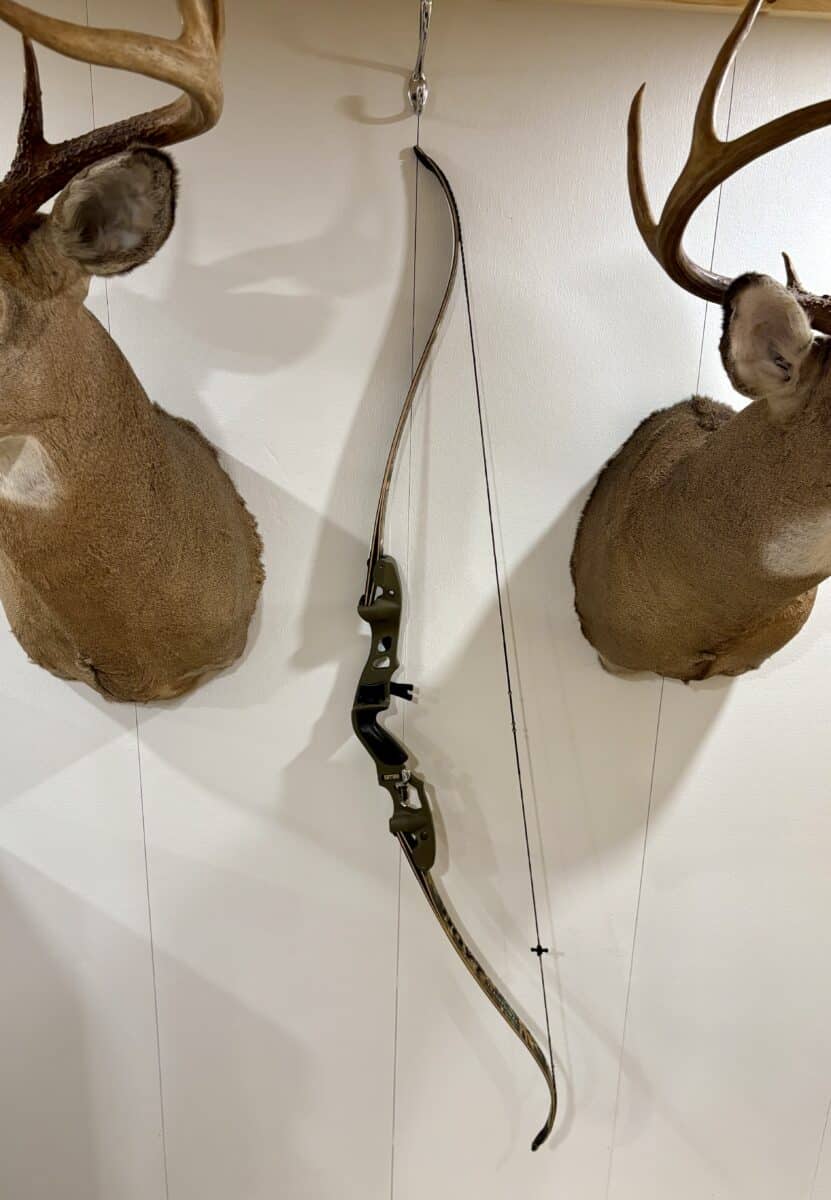 Hoyt Satori