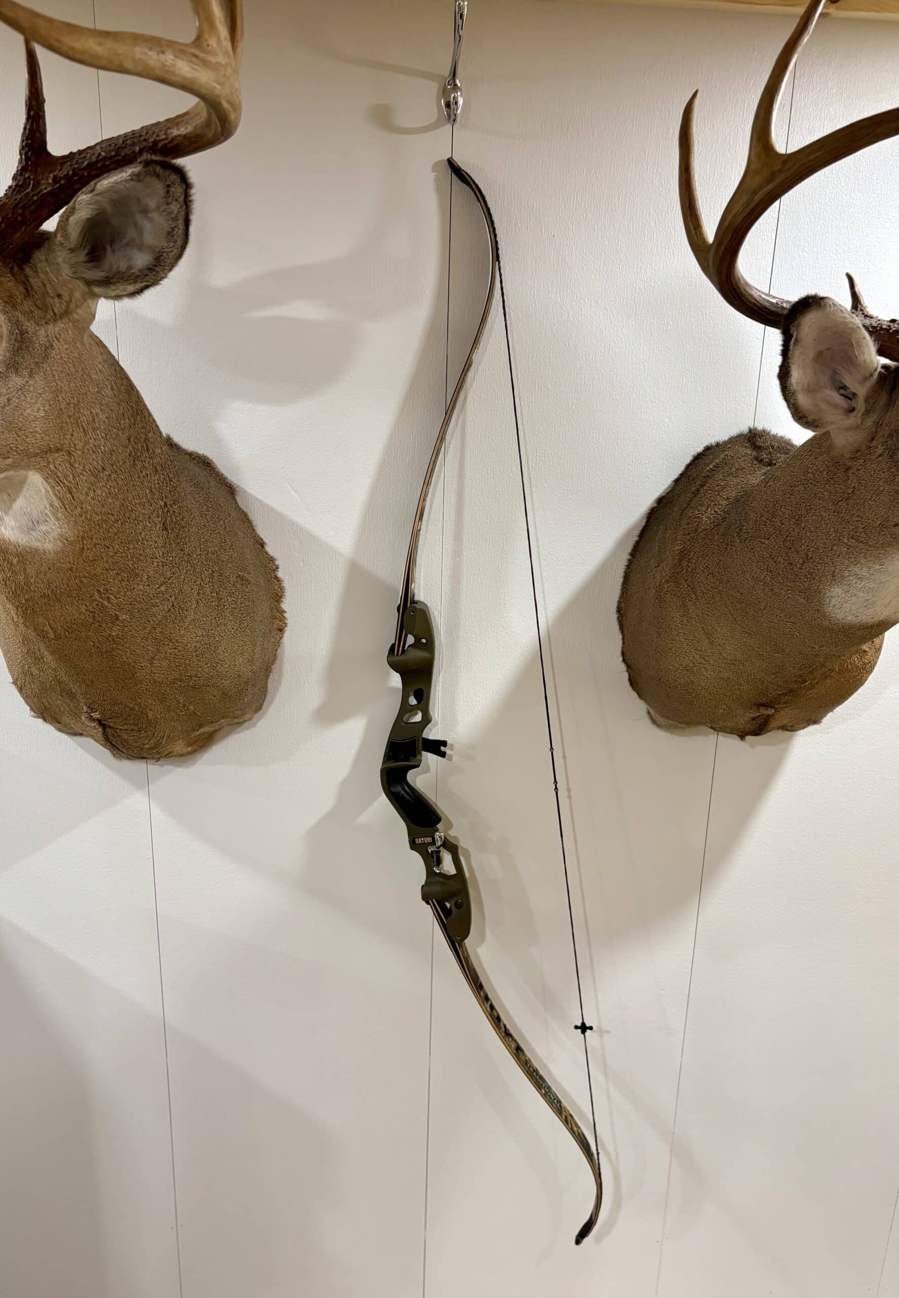 Hoyt Satori