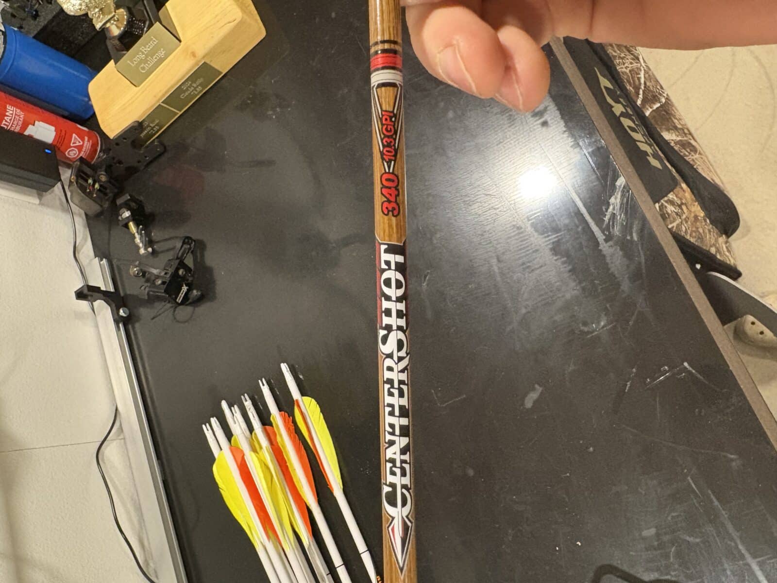 Hoyt Satori