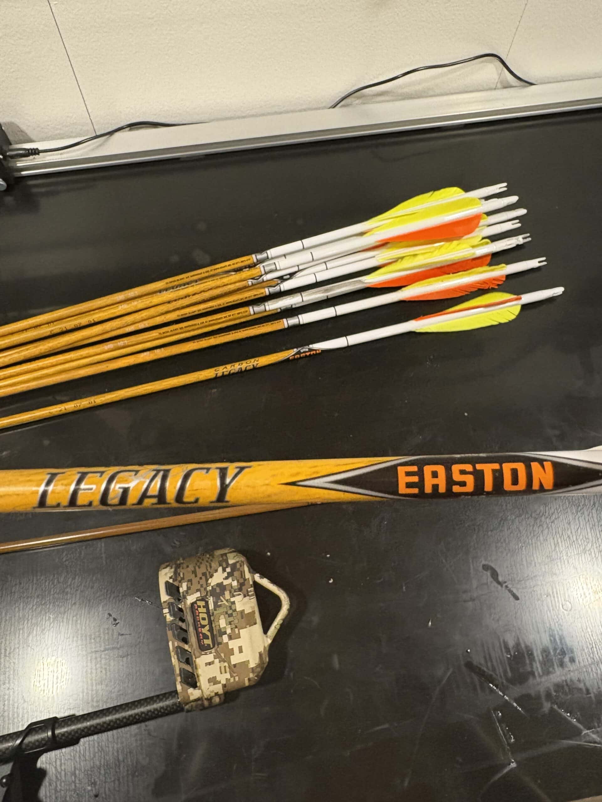 Hoyt Satori
