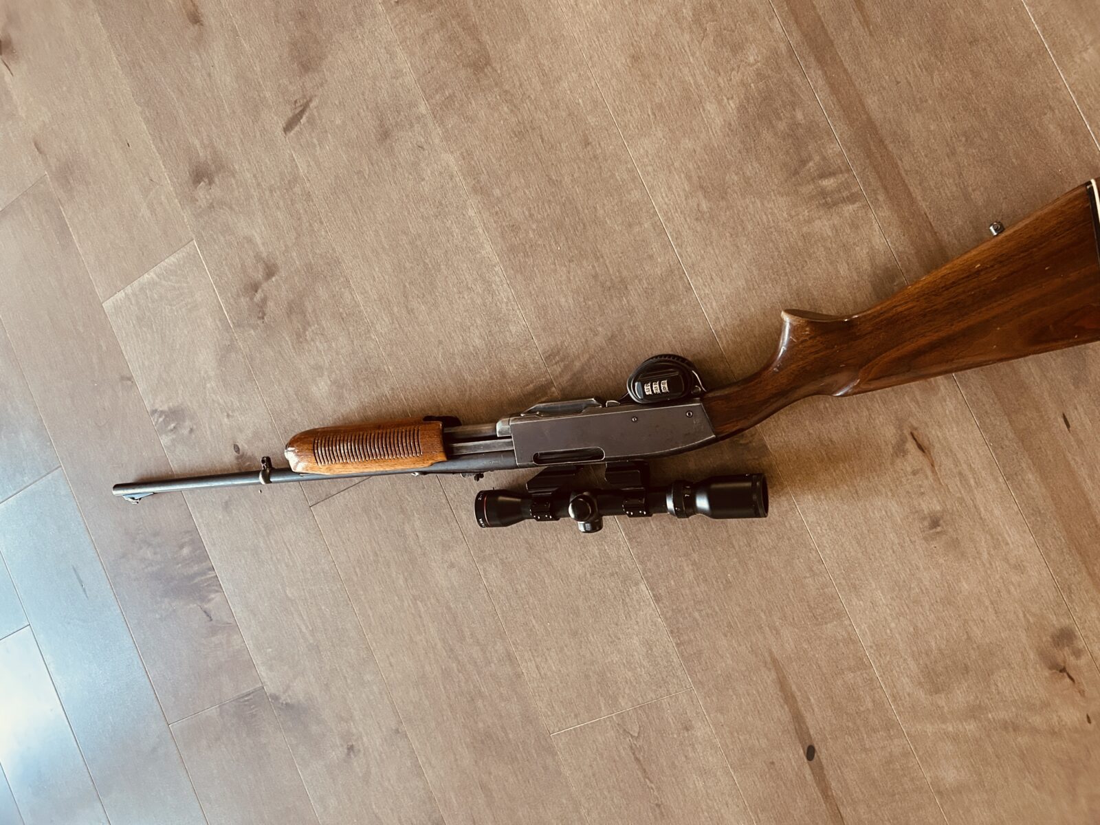 carabine 300 savage a pump