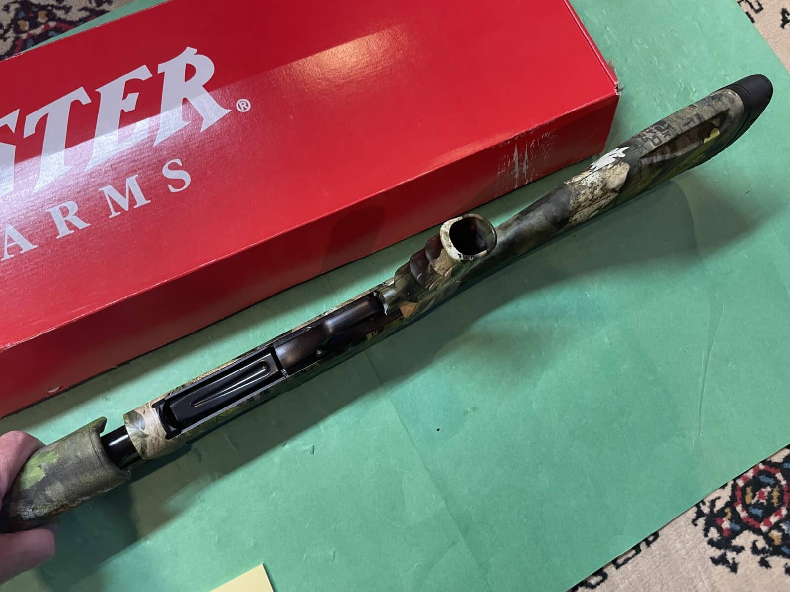 WINCHESTER SXP LONGBEARD * NEUF *