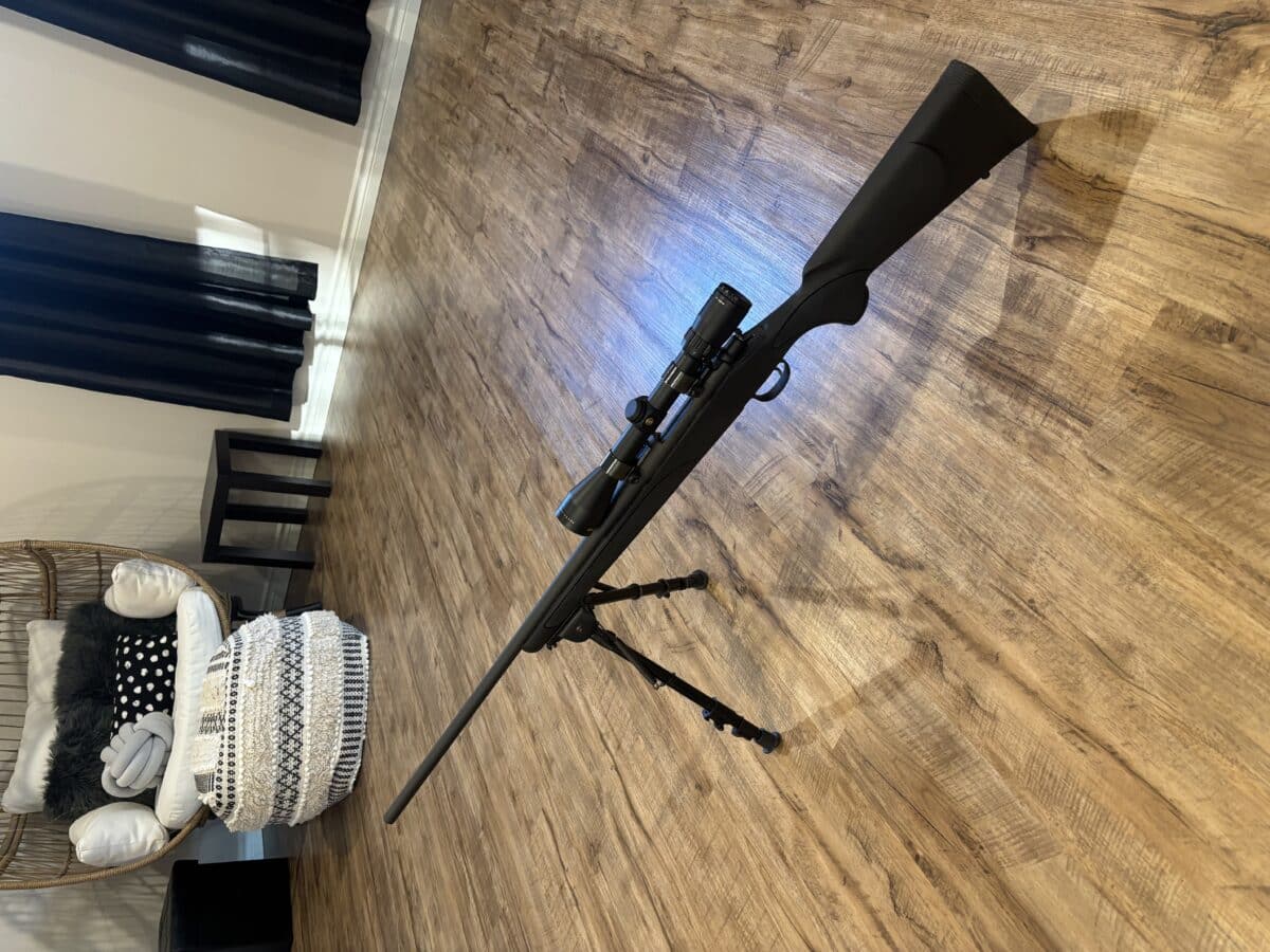 Carabine Remington 223