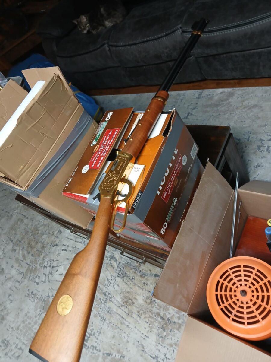 winchester cheyenne .22
