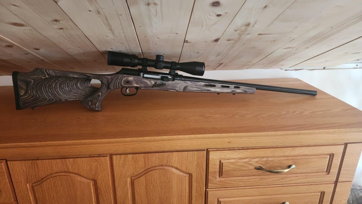 17 hmr semi auto Savage A17