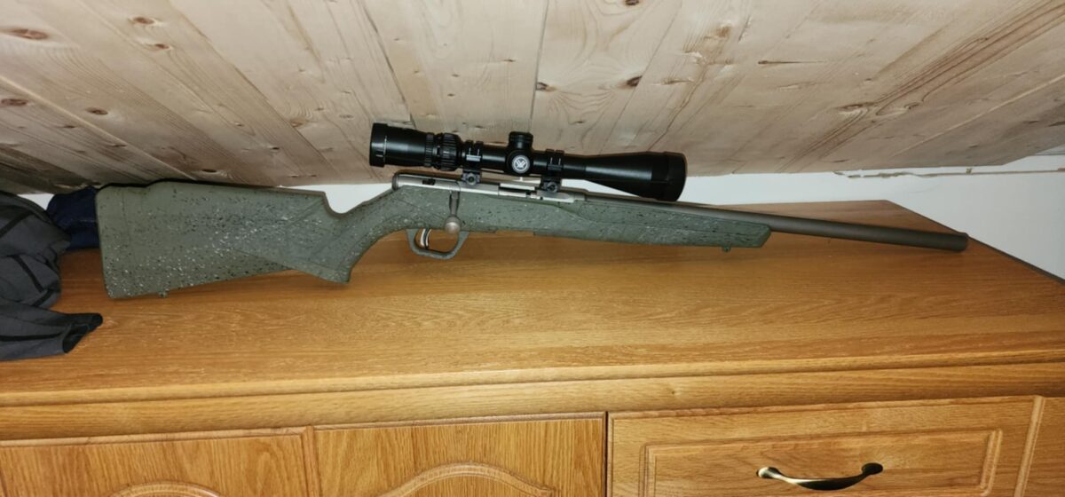 Savage B17 Fvss 17hmr neuve