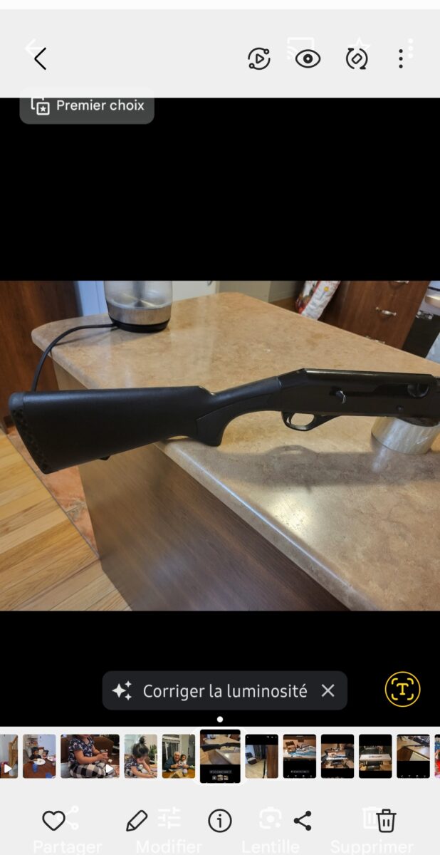 semi automatique calibre 20