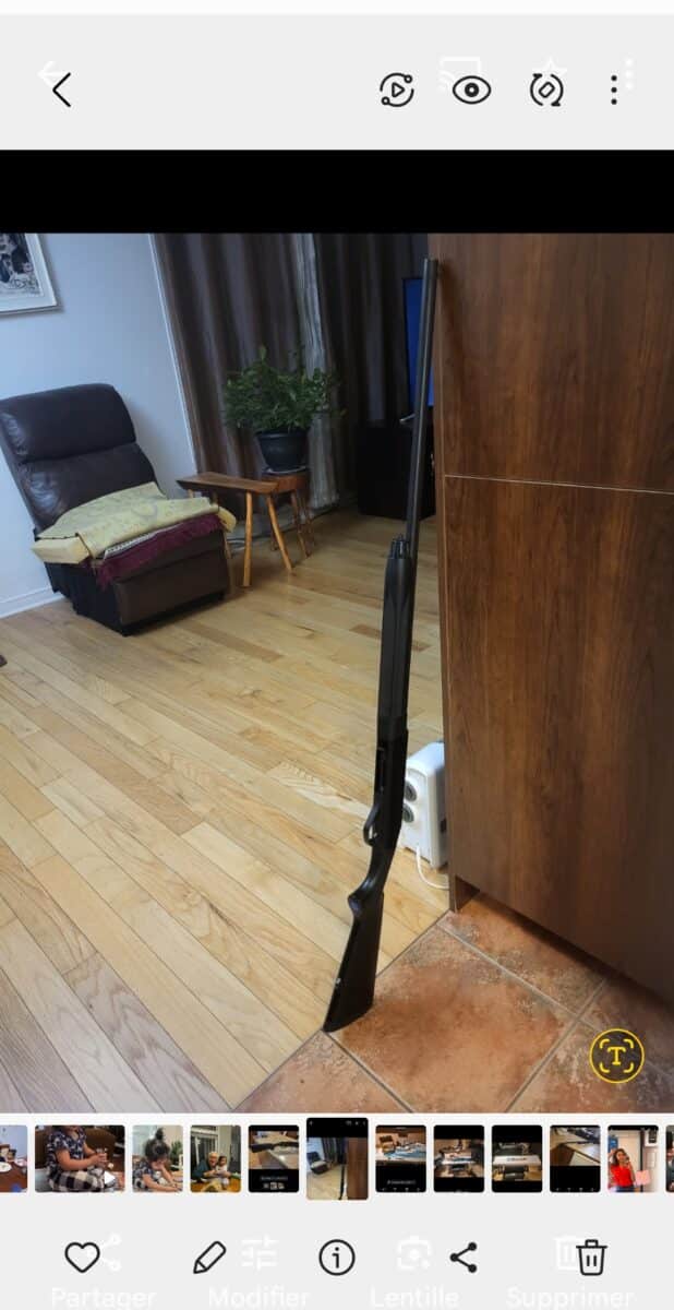 semi automatique calibre 20