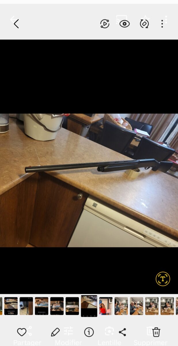 semi automatique calibre 20