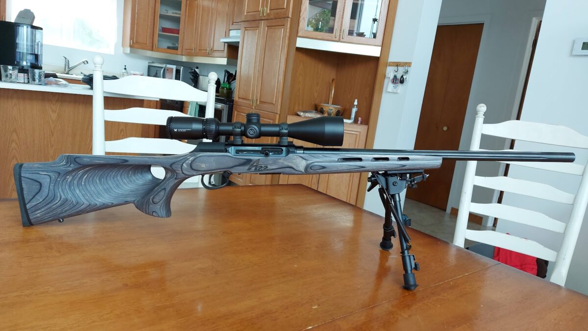 Carabine Savage A22