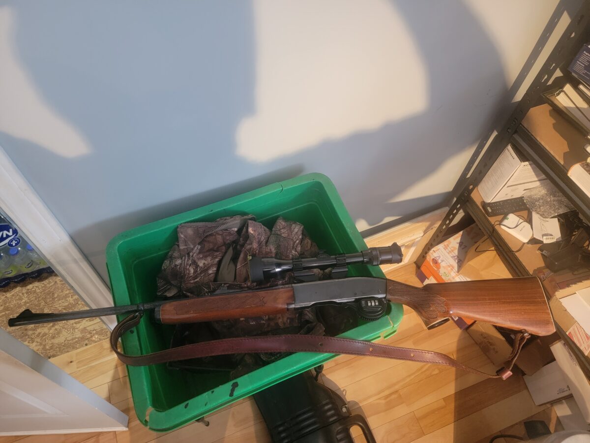 Remington 308 model 742