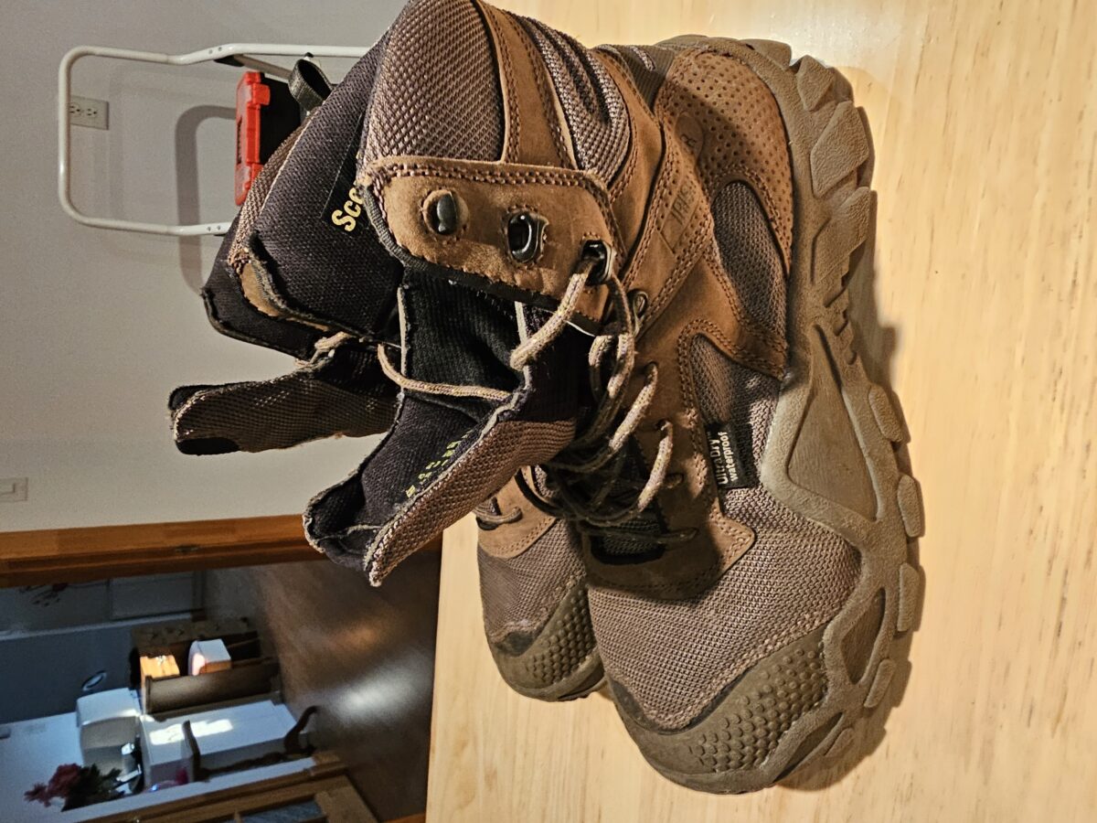 botte de chasse irish setter
