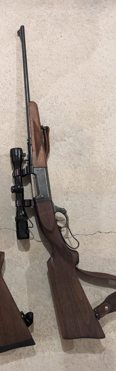 Carabine 300 savage