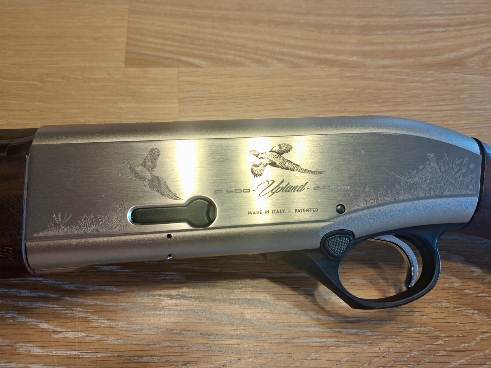 Beretta 20 Gauge semi-automatic