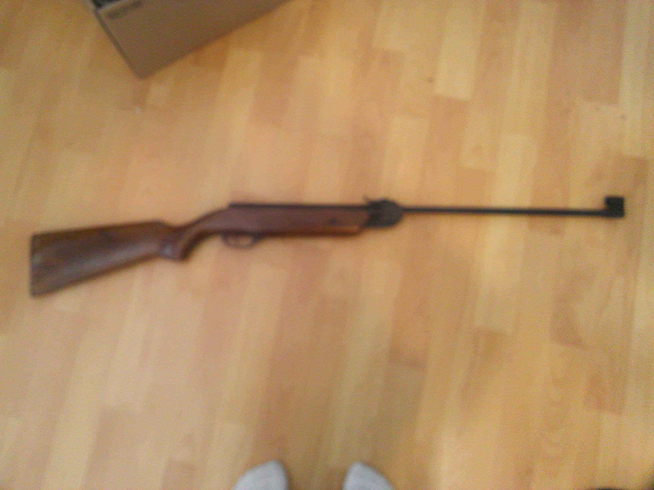 Pellets Carabine a plomb