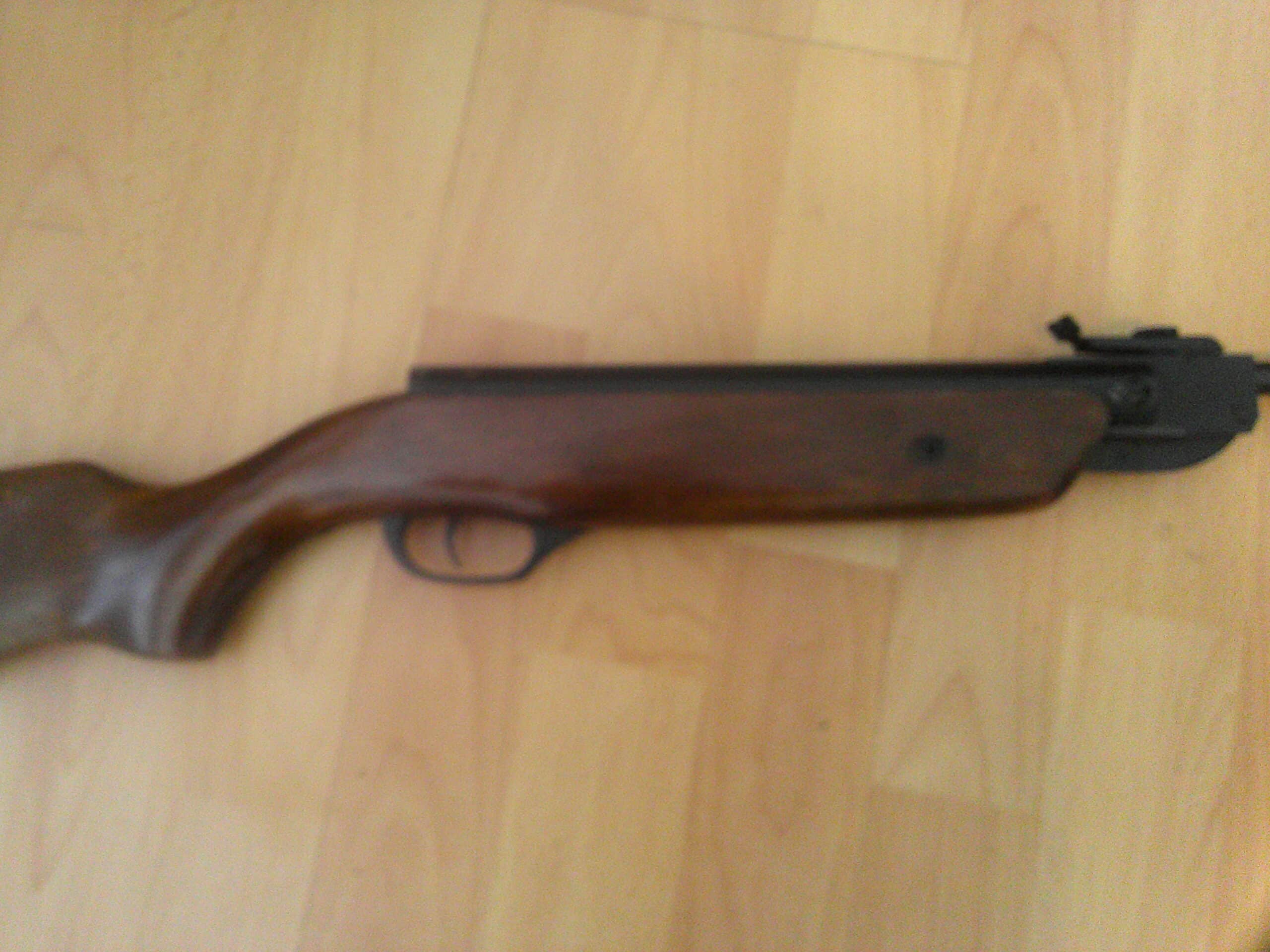 Pellets Carabine a plomb