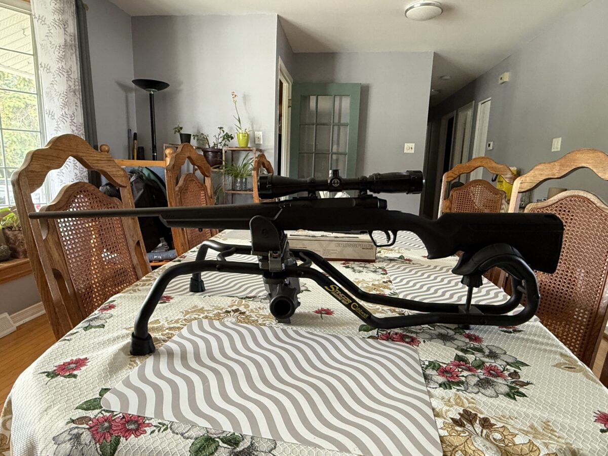 carabine savage axis 308