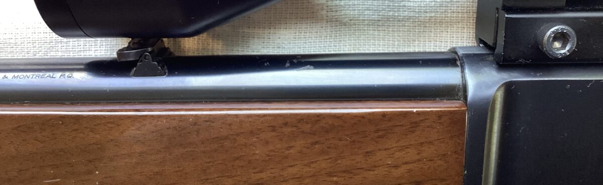 Browning BLR 22