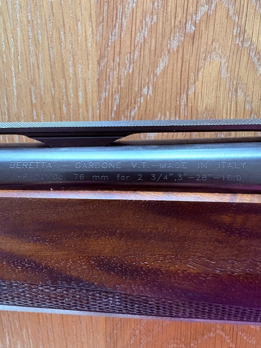 Beretta 20 Gauge semi-automatic