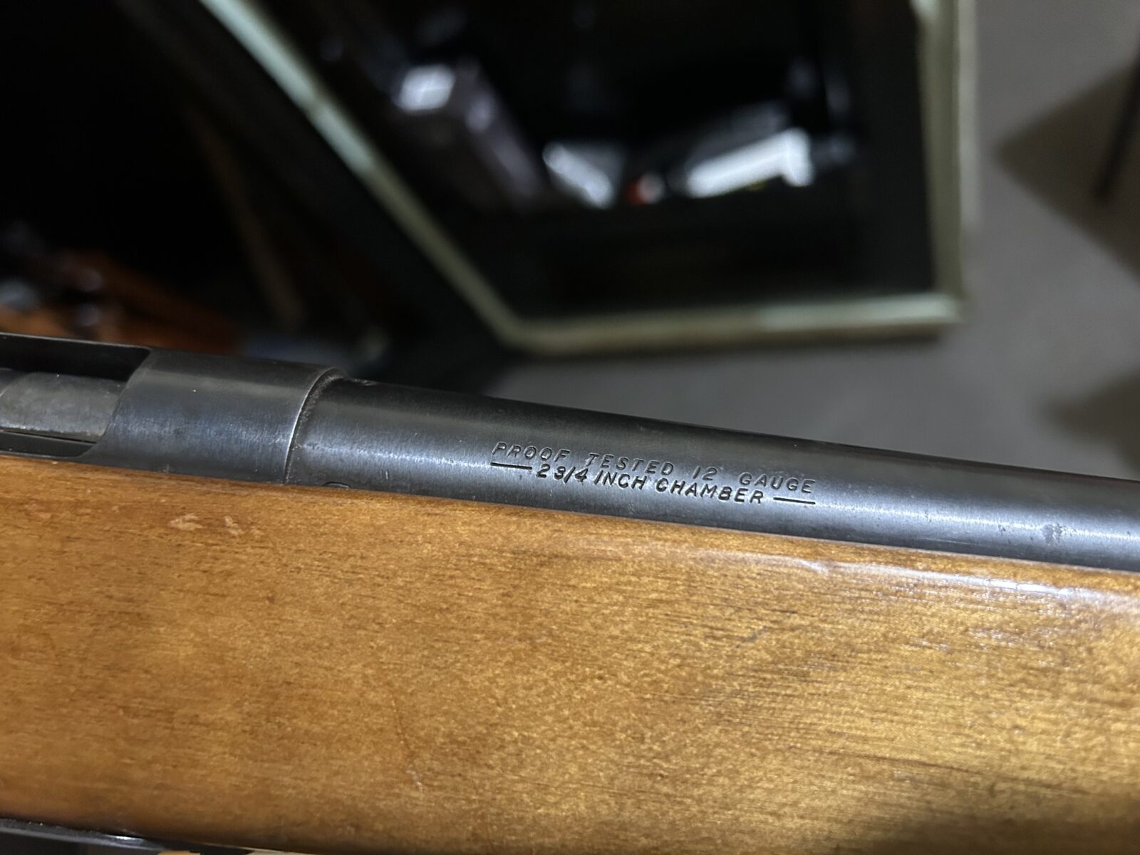 12ga savage Stevens model 58