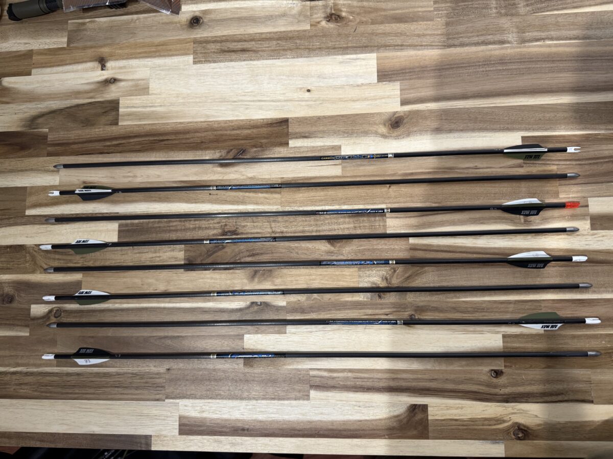 Hoyt Kobalt ensemble complet