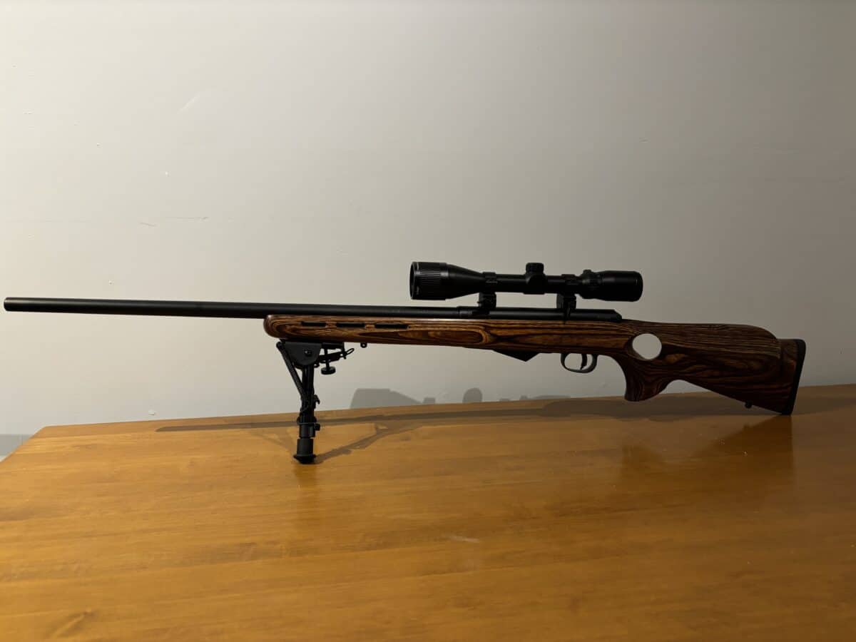 22 Hornet savage m25 avec télescope et Die