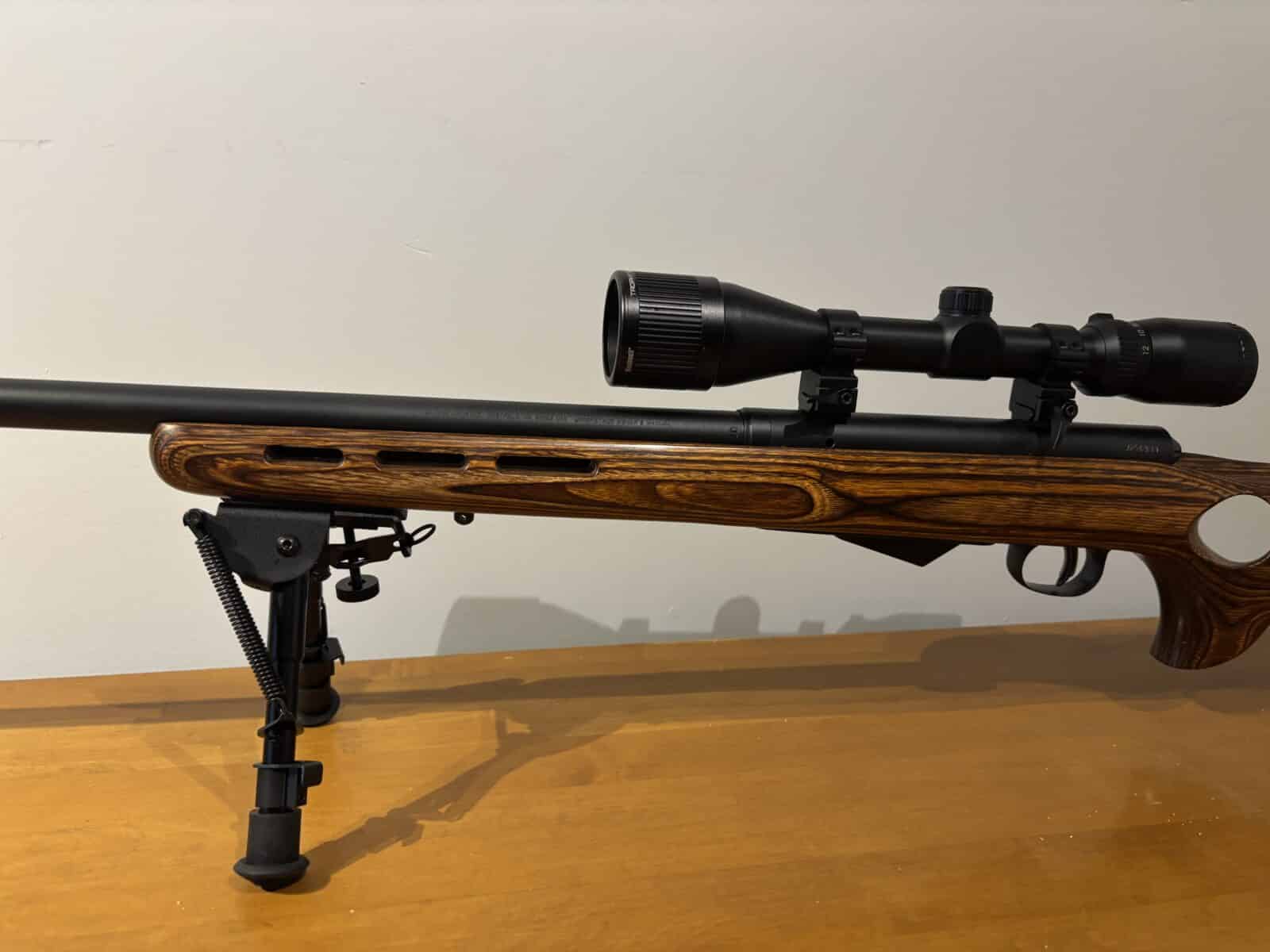 22 Hornet savage m25 avec télescope et Die