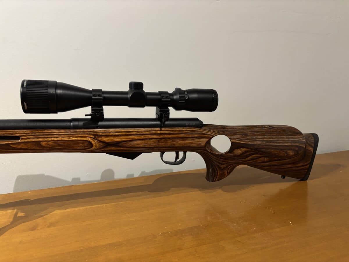 22 Hornet savage m25 avec télescope et Die