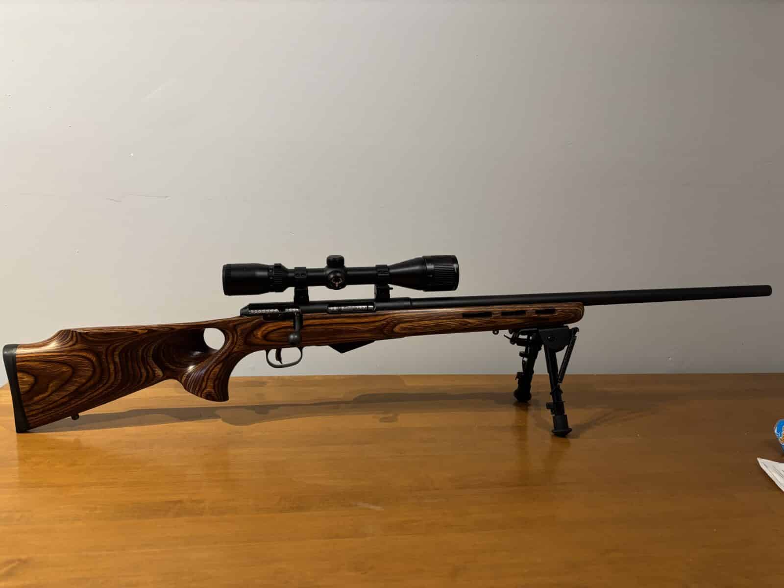 22 Hornet savage m25 avec télescope et Die