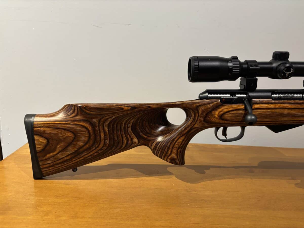 22 Hornet savage m25 avec télescope et Die