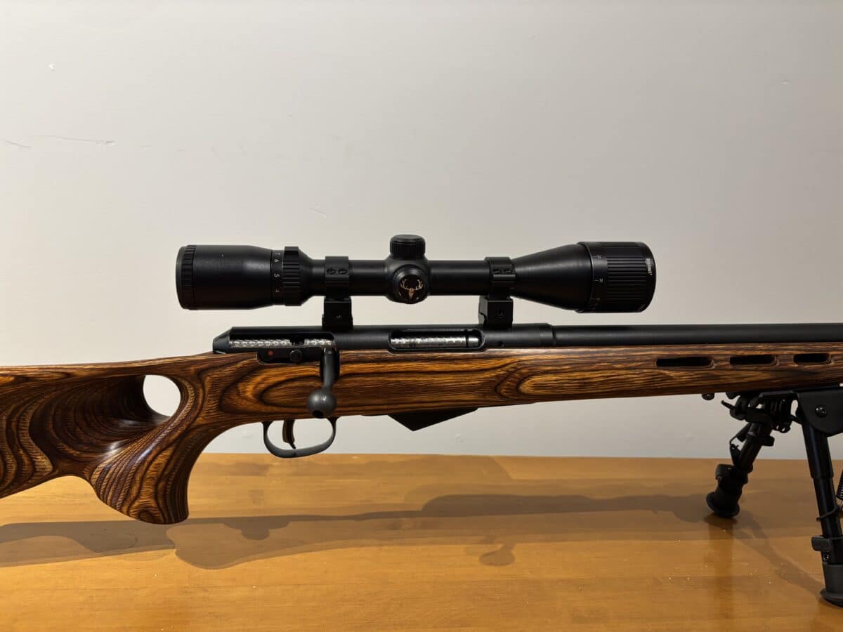 22 Hornet savage m25 avec télescope et Die
