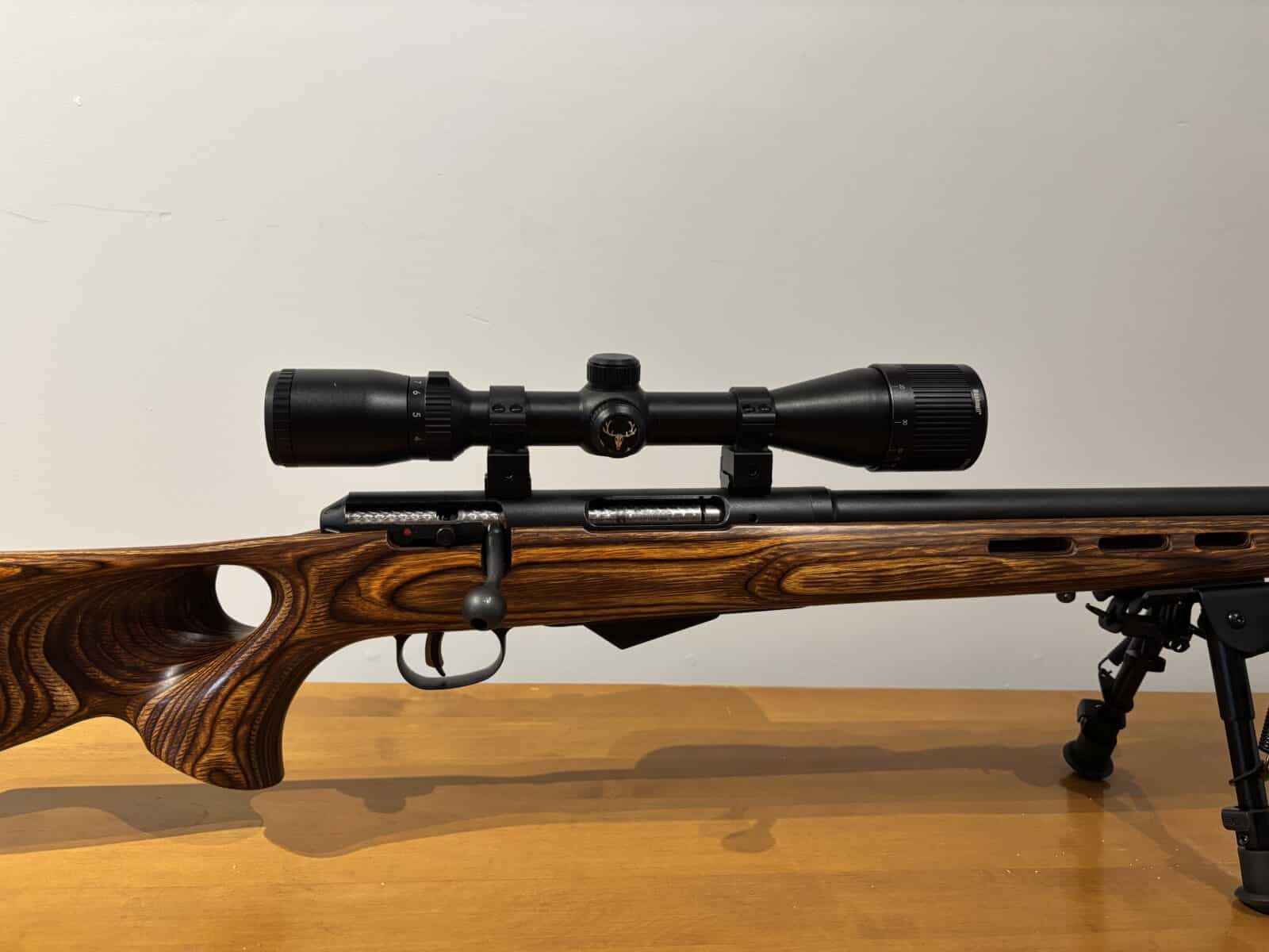 22 Hornet savage m25 avec télescope et Die
