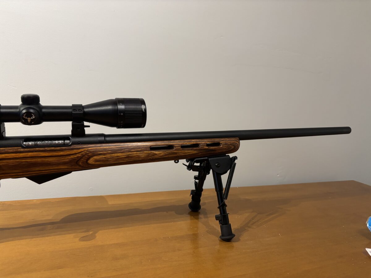 22 Hornet savage m25 avec télescope et Die