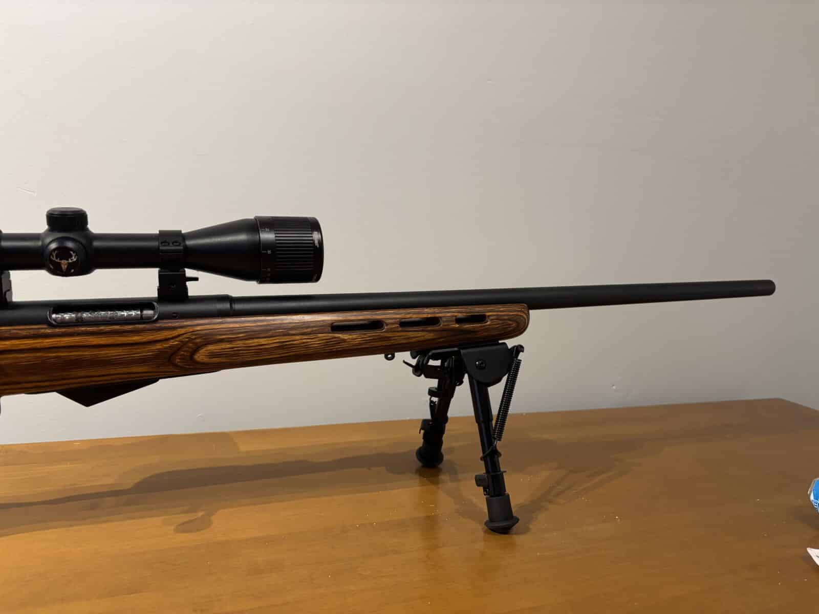 22 Hornet savage m25 avec télescope et Die