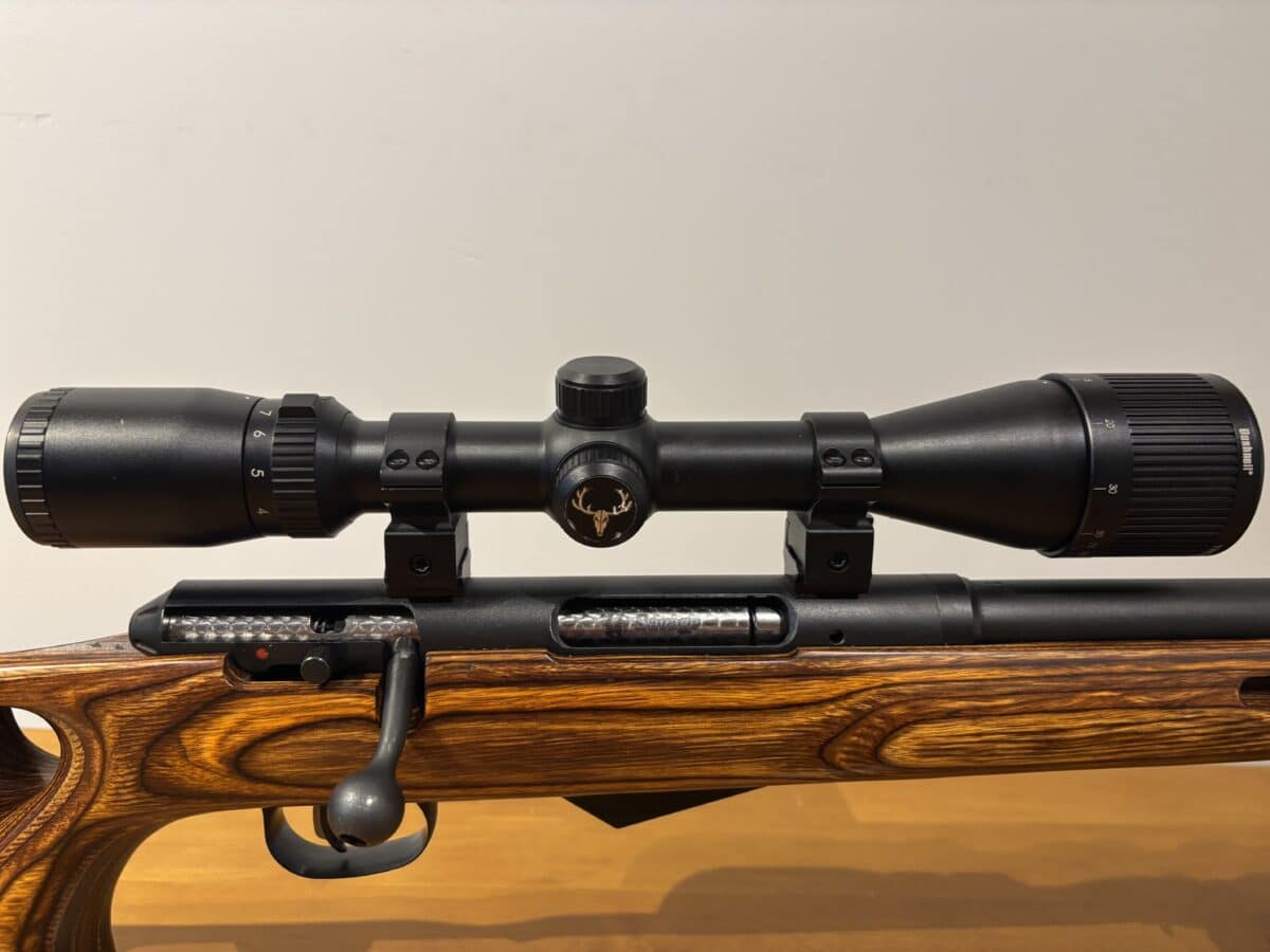 22 Hornet savage m25 avec télescope et Die