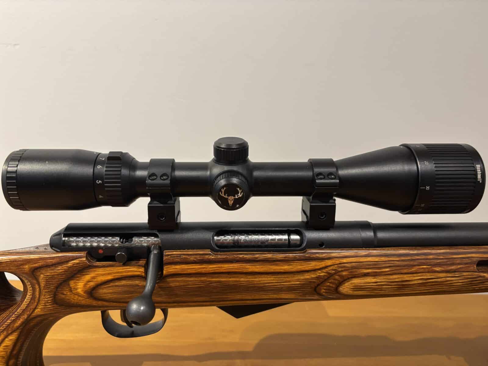 22 Hornet savage m25 avec télescope et Die