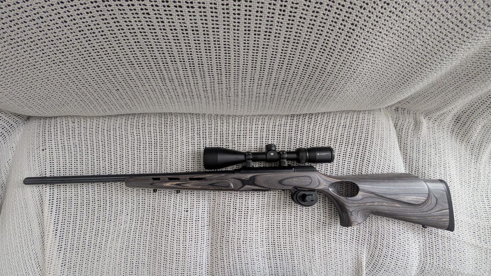Carabine Savage A22