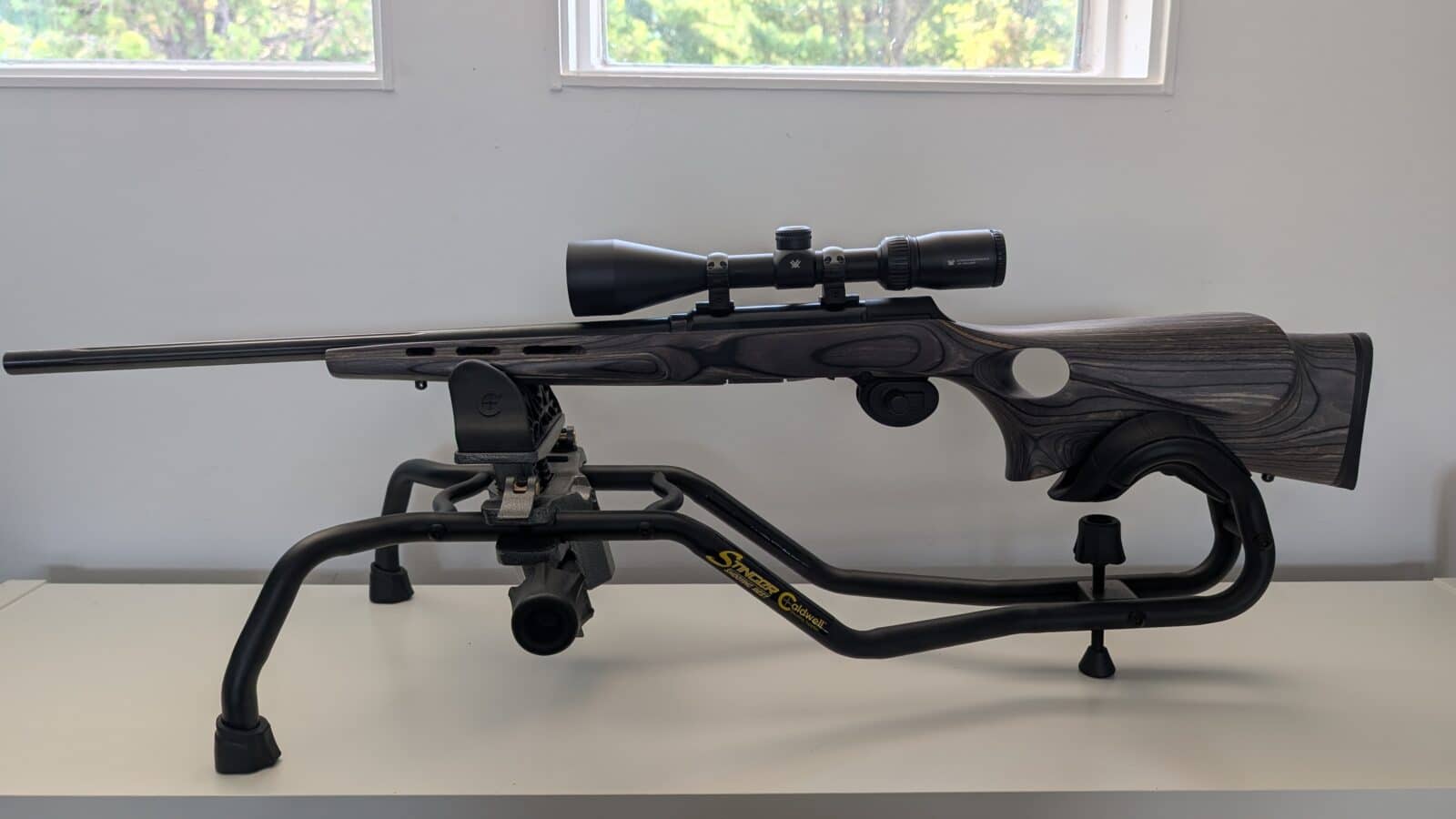 Carabine Savage A22