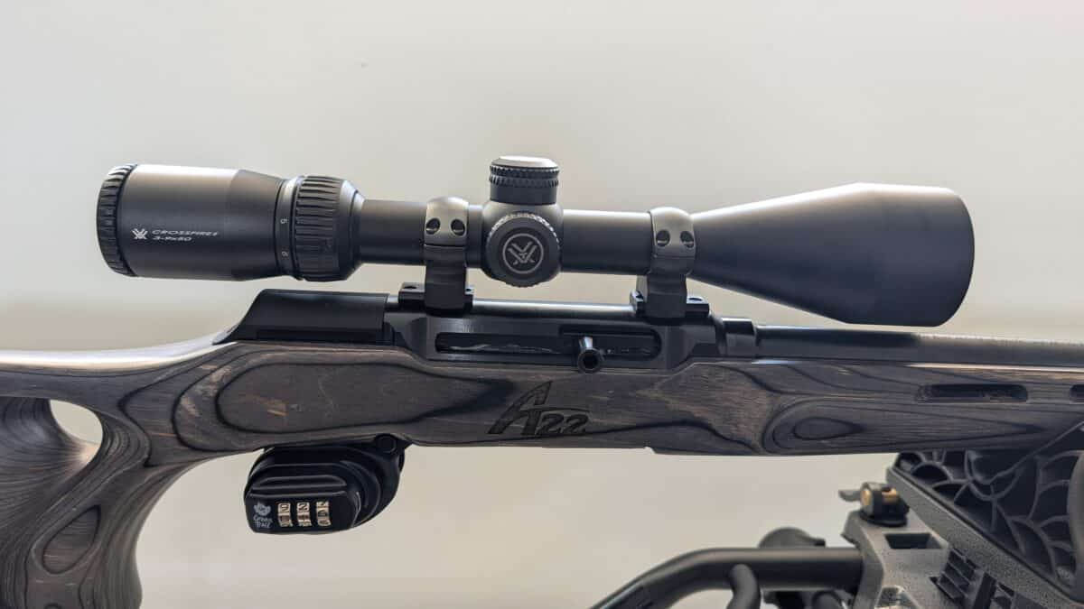 Carabine Savage A22