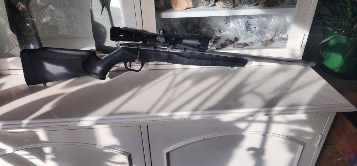 Savage B22 fvss stainless 22lr