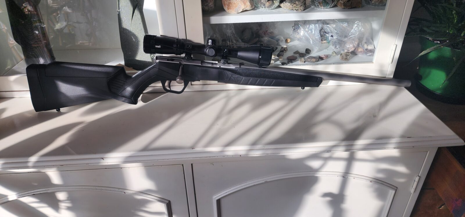 Savage B22 fvss stainless 22lr