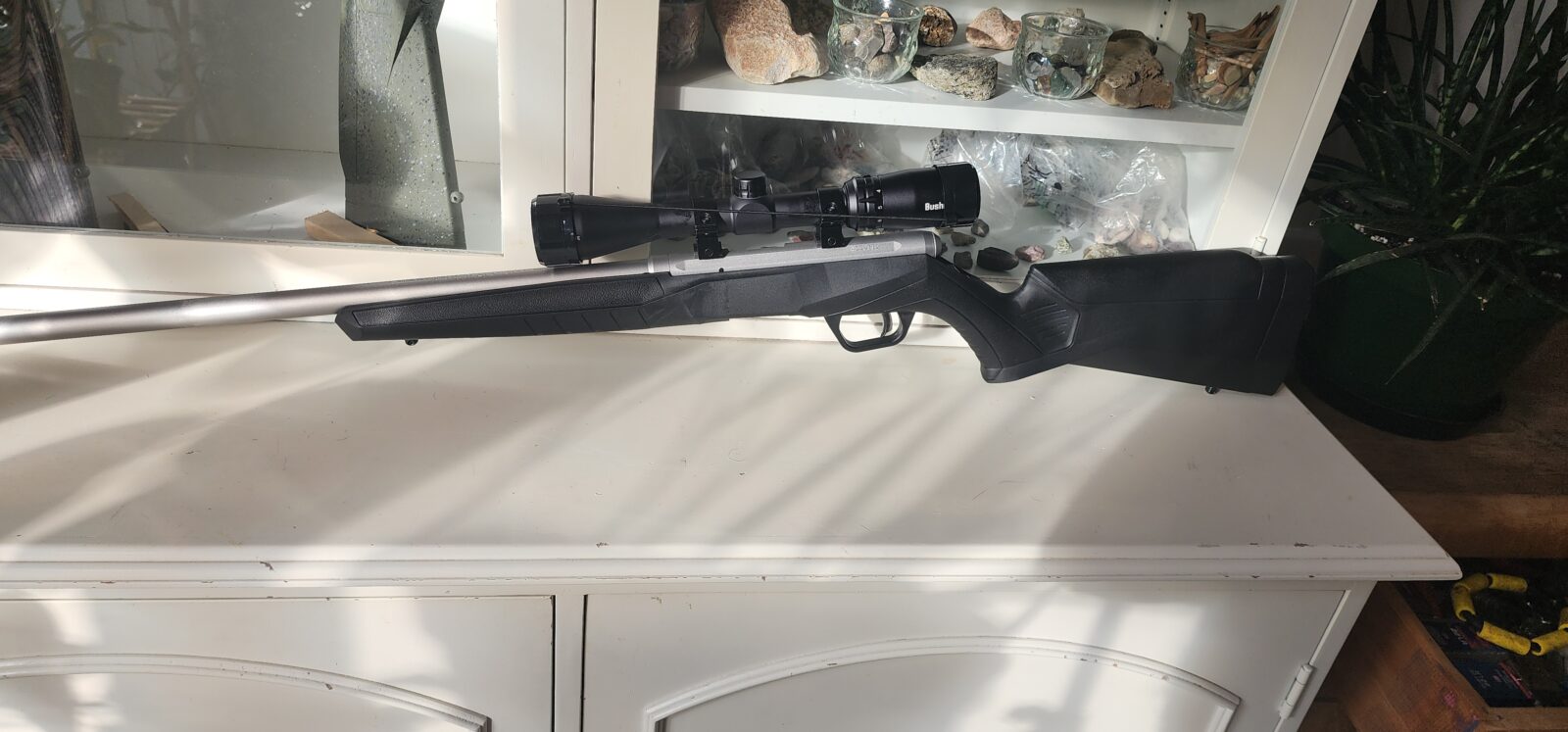 Savage B22 fvss stainless 22lr