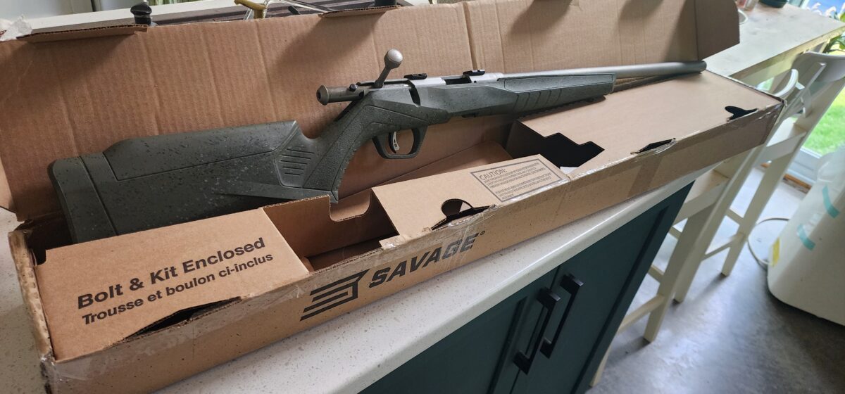 22lr et 17hmr Savage B22 FVSS Et B17