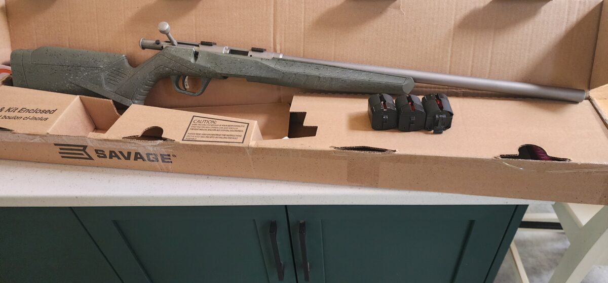 22lr et 17hmr Savage B22 FVSS Et B17