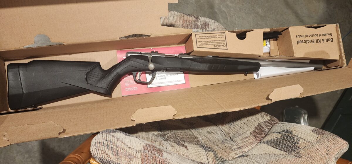 22lr et 17hmr Savage B22 FVSS Et B17
