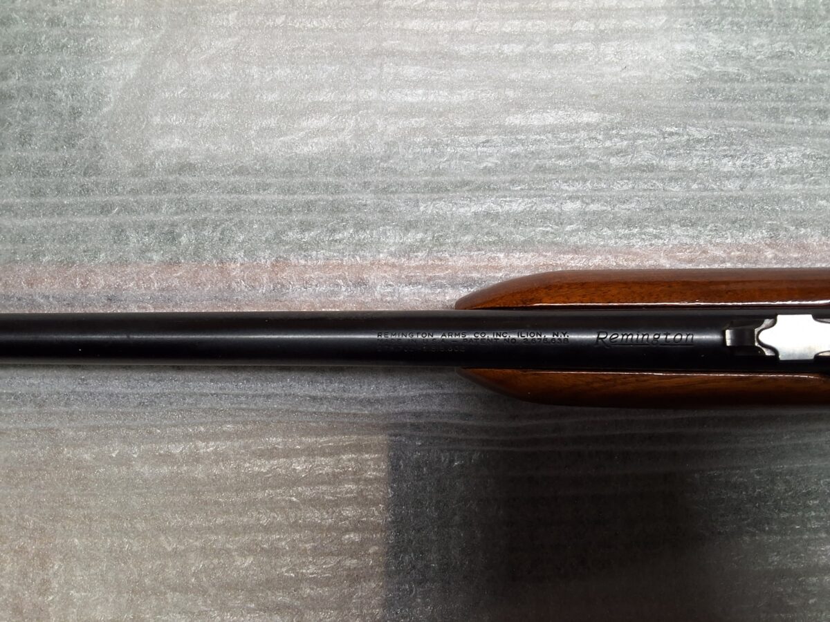 carabine a pompe Remington 572 fieldmaster .22lr