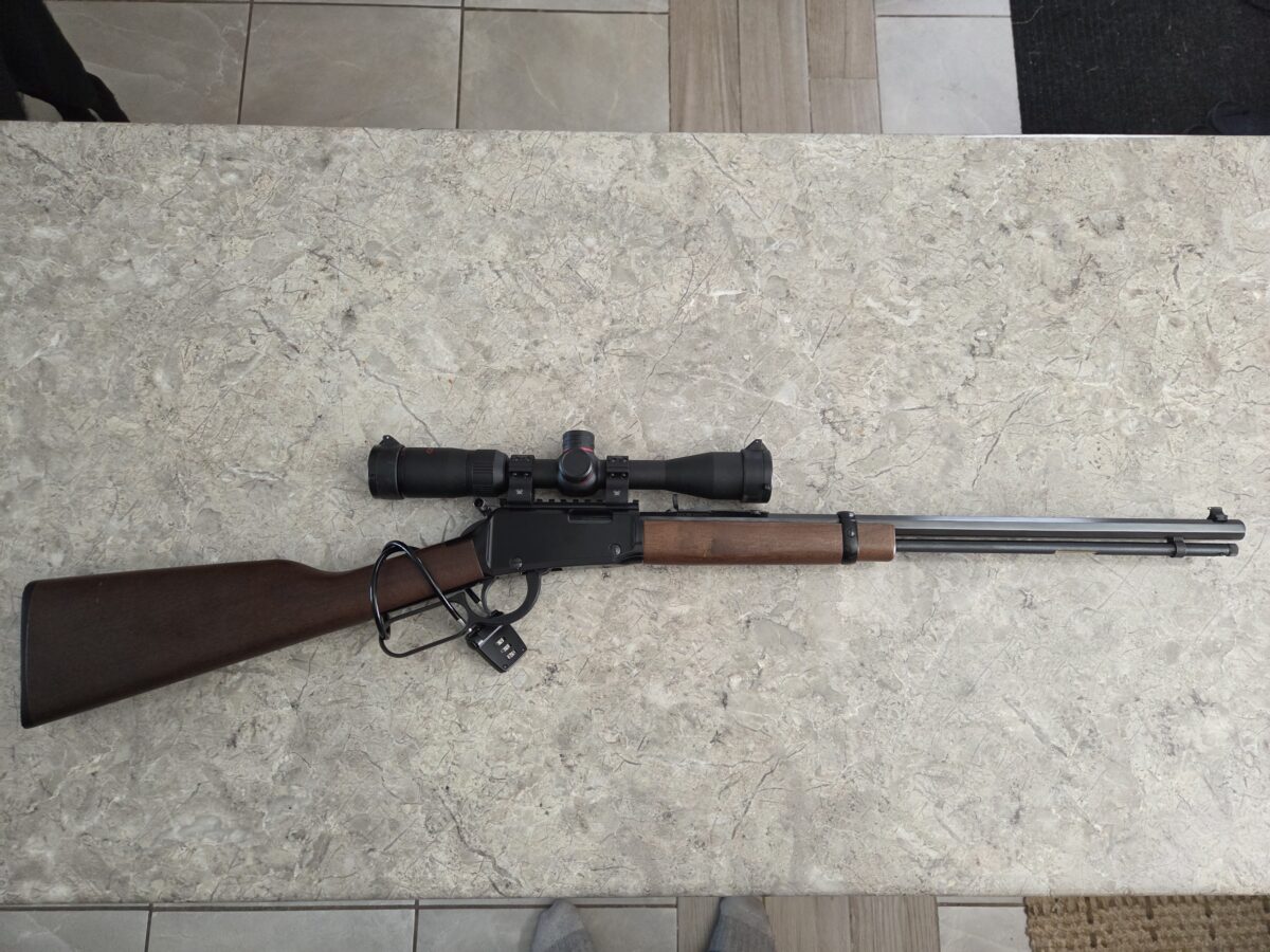 Henry .22 WMR