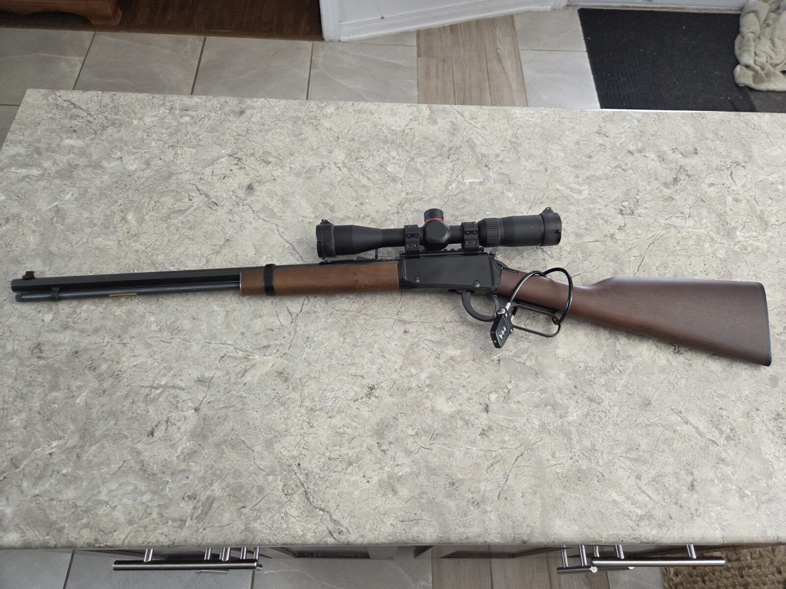 Henry .22 WMR