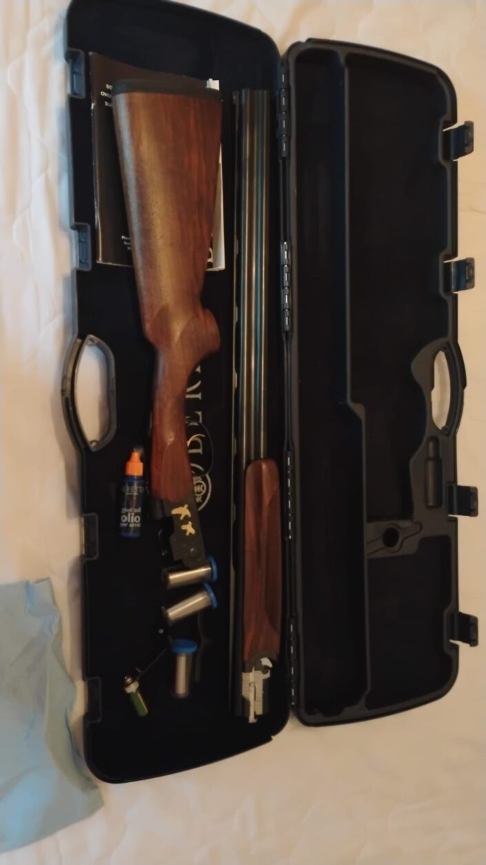 Beretta-silver-pigeon